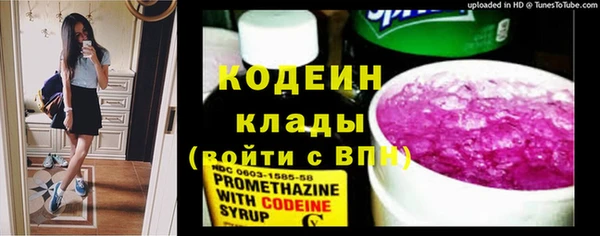 спиды Лиски