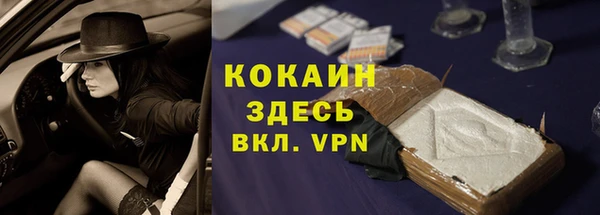 спиды Лиски