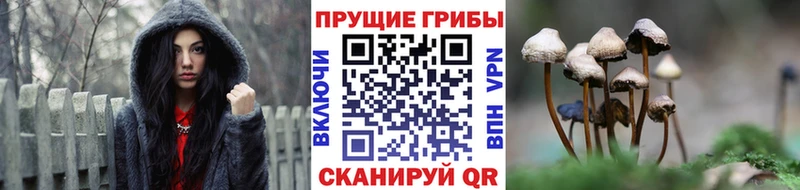 Галлюциногенные грибы ЛСД продажа наркотиков Агрыз
